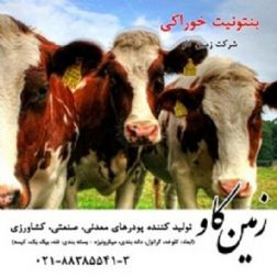 فروش بنتونیت  و خواص بنتونیت در خوراک دام (Bentonite)